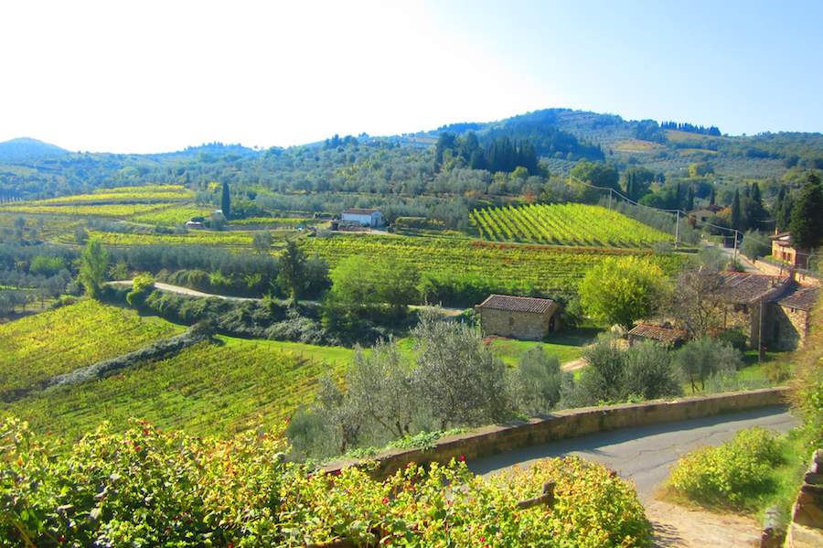 Le beau panorama de vignobles depuis le village de Montefiorale, Chianti. Ⓒ María Calvo. 