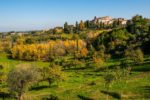 lari-collines-pisanes